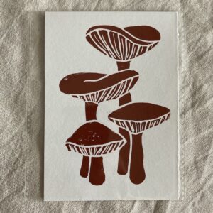 Svampe (mini tryk)