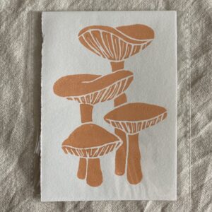 Svampe (mini tryk)