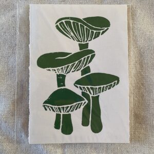 Svampe (mini tryk)